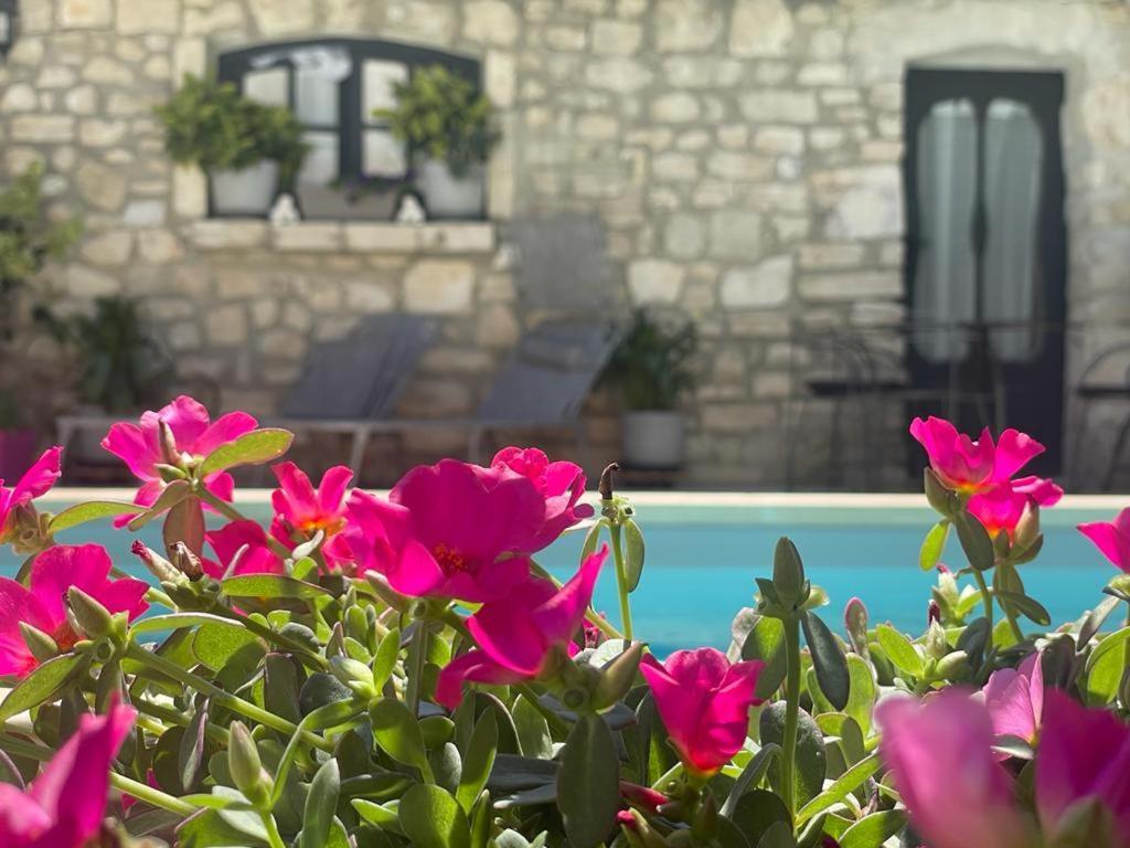 Maison D'Hotes Payan Champier Saint-Paul-Trois-Chateaux Exteriér fotografie